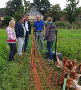 Achtung: Freilaufende Hühner und politisch Engagierte im Grünen (v.l.nr.): Nicole Weckerle Peter Meiwald Sascha Pitkamin Matthias Hagemann Simone Hagemann und Elsa, Maike, Doris, Julia, Claudia und die restlichen Hühner. Foto: Ercan Kilic