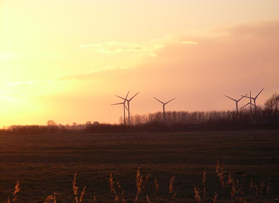 Windräder im Sonnenuntergang in der Krummhörn