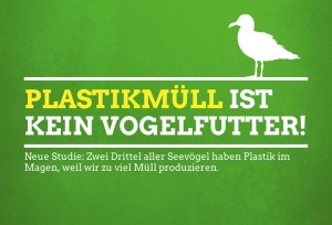 Plastikmüll  ist kein Vogelfutter