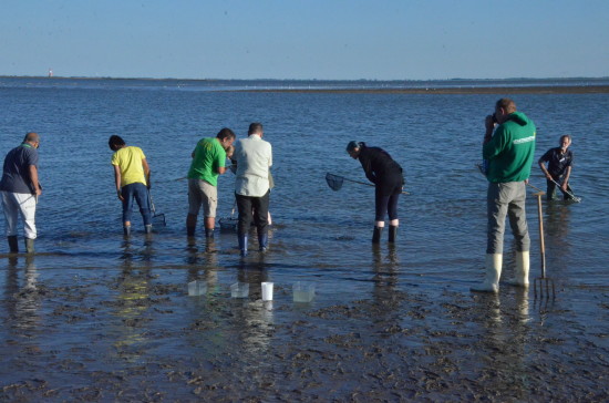 Über das Problem des Plastikmülls reden, "Plastic Planet" gucken und dann noch gemeinsam ins Watt. Welch eine Dramaturgie in Wilhelmshaven am Südstrand. Roger Staves vom Nationalpark hat uns erst einmal an Hand von Fotos gezeigt, dass der Schweinswal hier zu Hause ist. Dann haben wir jede Menge Krabben gefangen und ich habe mich von einem Taschenkrebs kneifen lassen (sehr zur Freude meiner Mit-Wattwanderer). Vor unserem Zuhause im Nordwesten liegt eine wunderbare Natur, die es zu schützen gilt: das Wattenmeer. Ein Hotspot für alle Lebewesen, die es dort gibt, denn nur alle sechs Stunden gibt es Wasser. Das ist einmalig auf unserem Planeten. Und auch von dieser einen Erde gibt es nur eine Ausgabe. Wir verhalten uns aber, als hätten wir noch in Reserve.